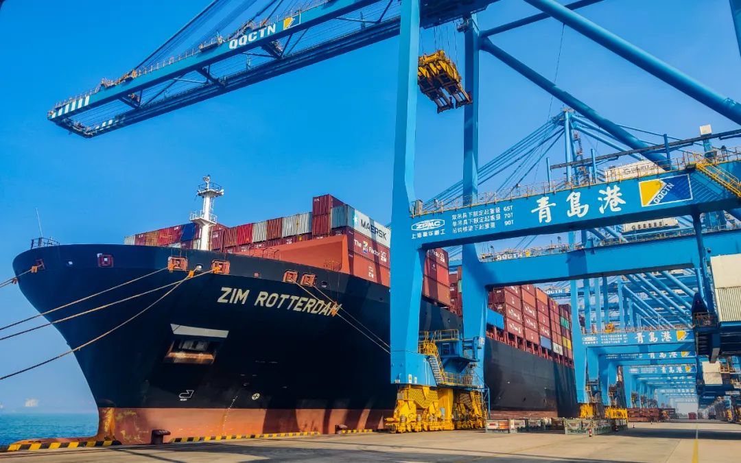 内贸海运：直接找船公司照旧通过货代？？？？？